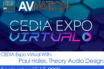 A Powerful Sound For Residential & More With Theory Audio Design at CEDIA Expo 2020