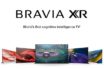 SONY Intelligence TV