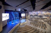 L-Acoustics L-ISA Brings the Sound and Stage Together at Orchard Hill Church