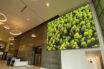 Sharp NEC Display Solutions Delivers Stunning Visuals to Avison Young Building in San Diego