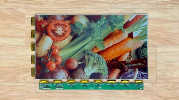 E Ink Spectra 6 display module - Image credit: E Ink