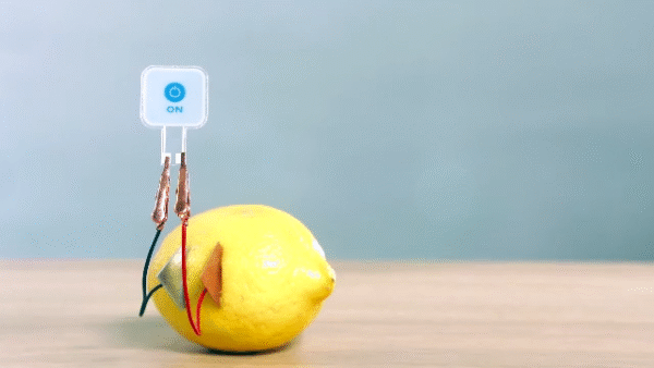 Lemon-powered e-paper indicator - Image credit: Ynvisible