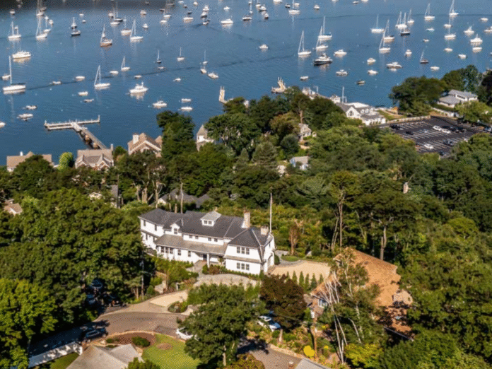 Diseño sin título - 2025-11-06T174828.511