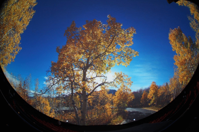 j4jbn2gsiu_d6klgeh7j2